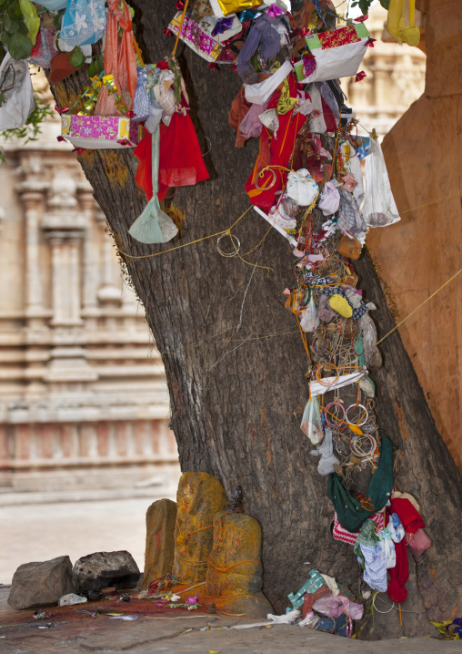 Fertility Offerings Hung On Trees At Brihadishwara Temple, Thanjavur,india