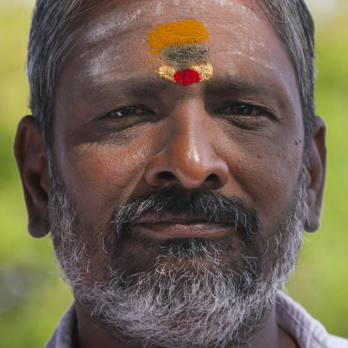 Portrait Of An Indian Man With Traditional Painting On His Forehead And A Graying Beard, Kanadukathan Chettinad, India