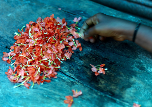 Hand Digging In A Pile Of Cut Flowers At The Flower Market, Pondicherry, India