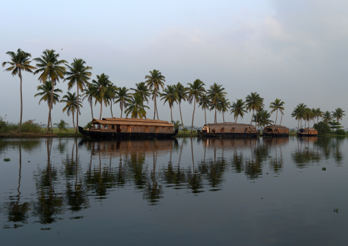 Houseboats Parked On The Banks Alongside Palm TreesOn Kerala Backwaters, Alleppey, India