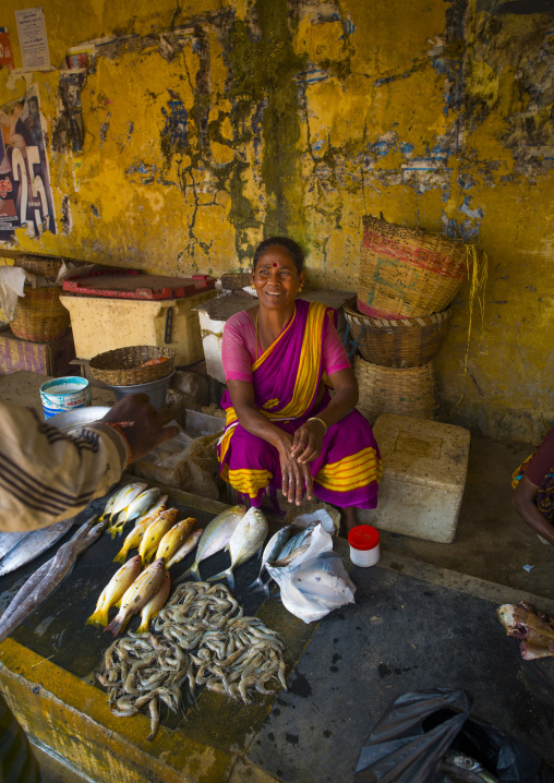 Fish Seller Sitting Behind Her Stalls At Pondicherry Market, India