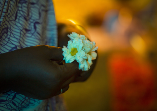 Hand Holding Small Flowers At Flower Market, Pondicherry, India