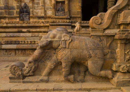 Rock Cut Bas Relief On The Stairs Of A Running Elephant At The Airavatesvara Temple, Darasuram, India