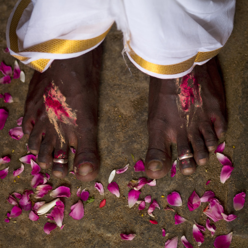 Feet With Rings Of A Just Married Man Surrounded By Rose Petals At His Wedding In Trichy, India
