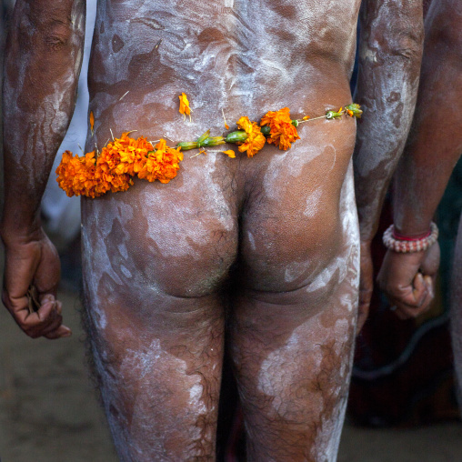 Naked Naga Sadhu, Maha Kumbh Mela, Allahabad, India