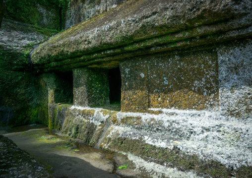 Rock-cut Candi  In Gunung Kawi