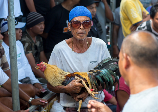 A Cock Being Held Back By Its Handler During A Cockfigting Event