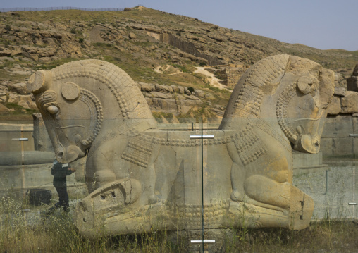 Sculpture of horse head, Fars province, Persepolis, Iran