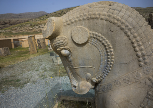 Sculpture of horse head, Fars province, Persepolis, Iran