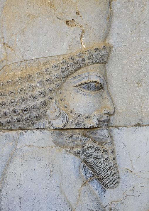 Bas-relief depicting a persian guard, Fars province, Persepolis, Iran
