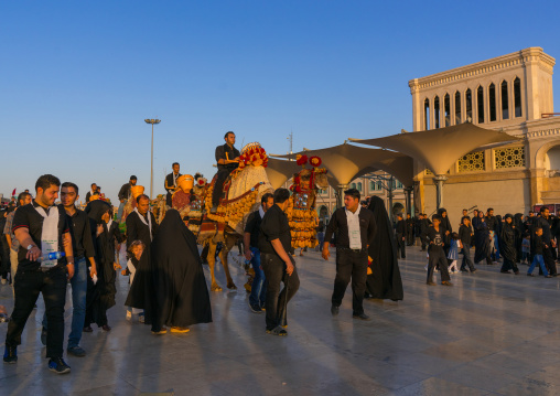 Procession with camels during Muharram celebrations in Fatima al-Masumeh shrine, Central County, Qom, Iran