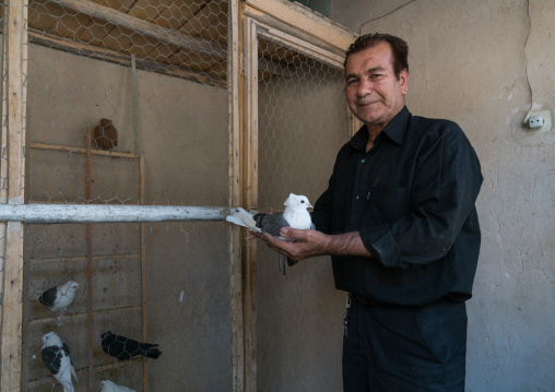 A man who raise pigeons, Lorestan Province, Khorramabad, Iran
