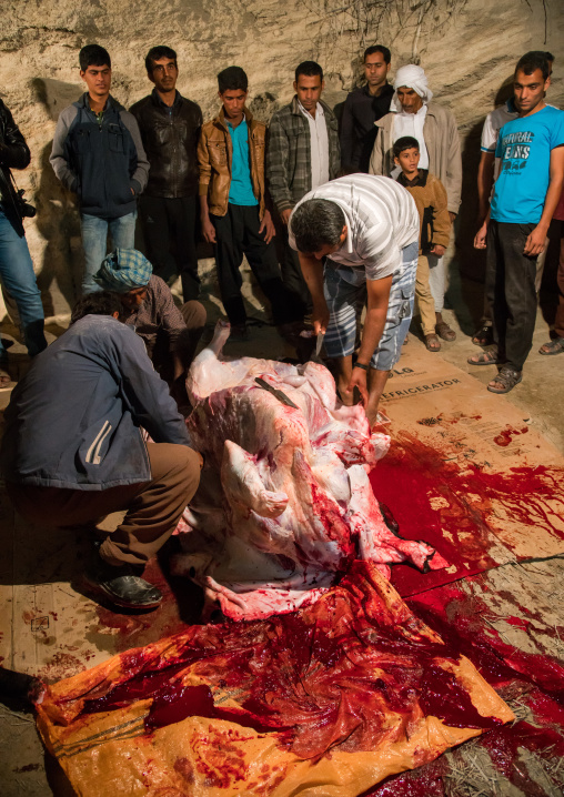 slaughter of a bull during a wedding, Qeshm Island, Tabl , Iran