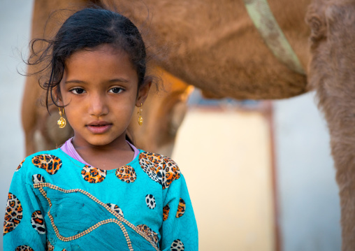 young girl in blue dress in front of a camel, Qeshm Island, Salakh, Iran