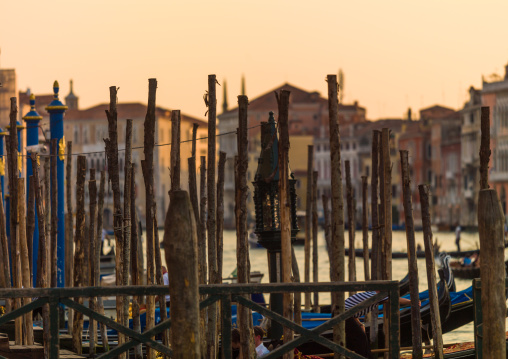 Wooden poles on the grand canal, Veneto Region, Venice, Italy