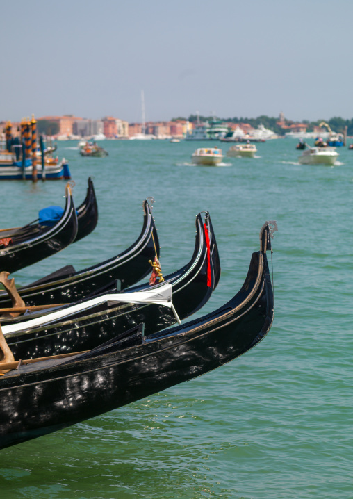 Gondolas on the grand canal, Veneto Region, Venice, Italy