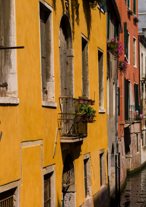 Colourful buildings, Veneto Region, Venice, Italy