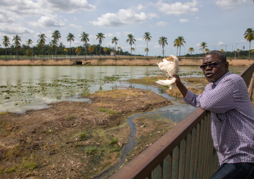 African man calling the sacred crocodile with a chicken in Felix Houphouet-Boigny's artificial lake of the presidential palace, Région des Lacs, Yamoussoukro, Ivory Coast