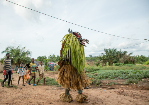 Goli sacred mask in Baule tribe arriving in a ceremony, Région des Lacs, Bomizanbo, Ivory Coast