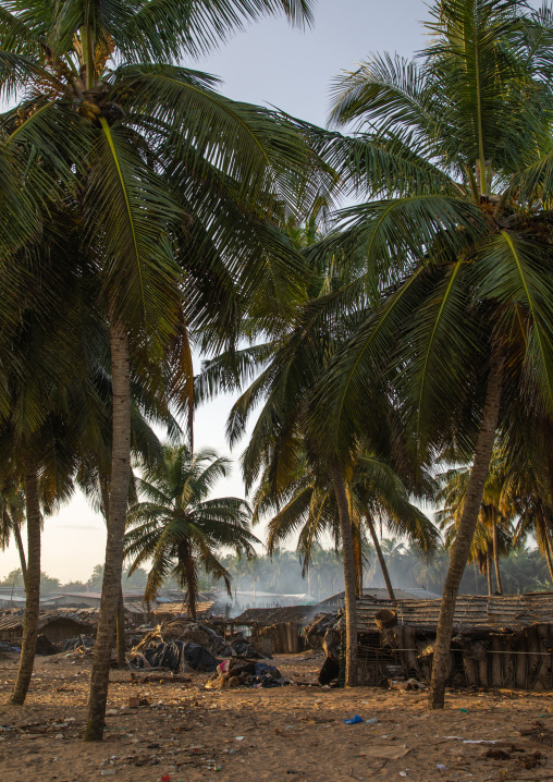 N’zima fishermen village under palm trees, Sud-Comoé, Grand-Bassam, Ivory Coast