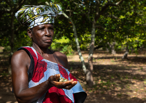 African woman with fresh karite in her hand, Savanes district, Shienlow, Ivory Coast