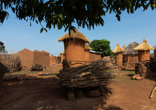 Granaries with thatched roofs in a Senufo village, Savanes district, Niofoin, Ivory Coast