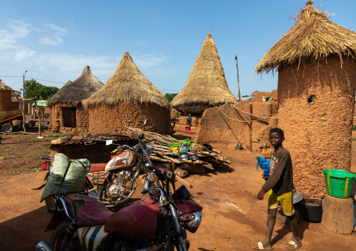 Granaries with thatched roofs, Savanes district, Niofoin, Ivory Coast