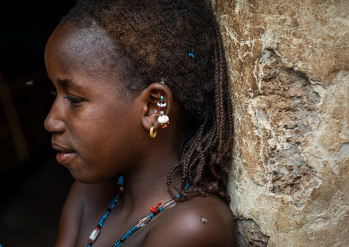 Portrait of a Peul tribe girl with earrings, Savanes district, Boundiali, Ivory Coast