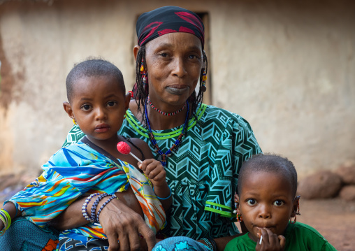 Portrait of a Peul tribe mother with her children, Savanes district, Boundiali, Ivory Coast