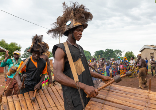 Senufo tribe musicians playing balafons during the Ngoro dance, Savanes district, Ndara, Ivory Coast