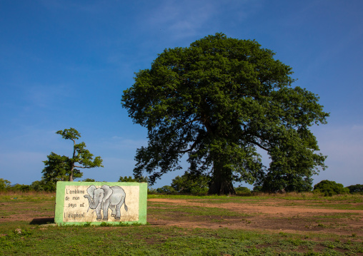 Mural with an elephant in front of a large tree, Denguélé, Korondougou, Ivory Coast
