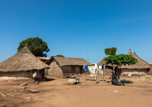 Huts with thatched roofs in a village, Denguélé, Korondougou, Ivory Coast