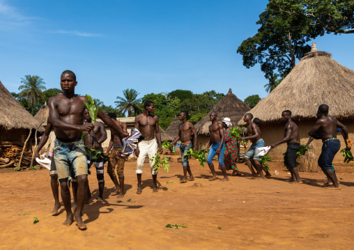 Dan tribe men dancing with leaves during a ceremony, Bafing, Gboni, Ivory Coast