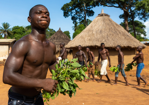 Dan tribe men dancing with leaves during a ceremony, Bafing, Gboni, Ivory Coast