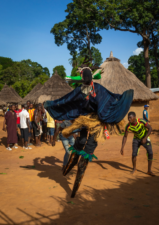 The tall mask dance with stilts called Kwuya Gblen-Gbe in the Dan tribe during a ceremony, Bafing, Gboni, Ivory Coast