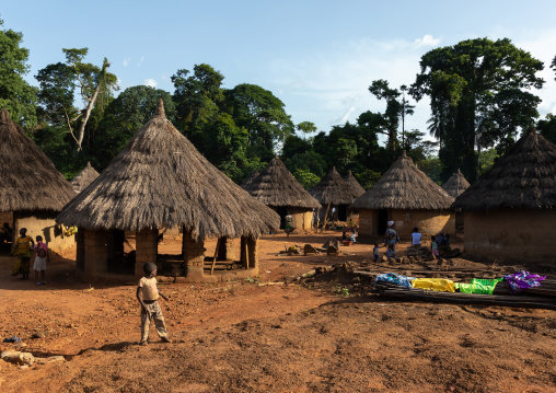 Huts with thatched roofs, Bafing, Gboni, Ivory Coast
