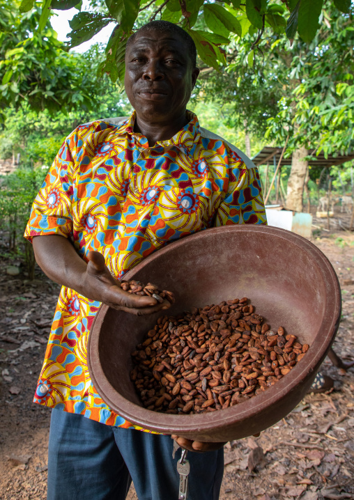 African man with dried cocoa beans, Région des Lacs, Yamoussoukro, Ivory Coast