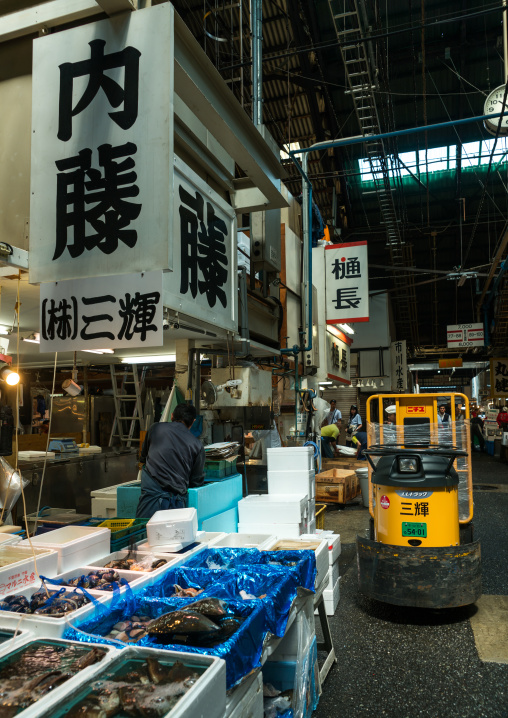 Taretto in tsukiji fish market, Kanto region, Tokyo, Japan