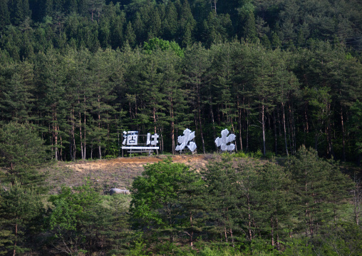 Giant daishichi sake ad in the forest in the highly contaminated area after the daiichi nuclear power plant irradiation, Fukushima prefecture, Iitate, Japan