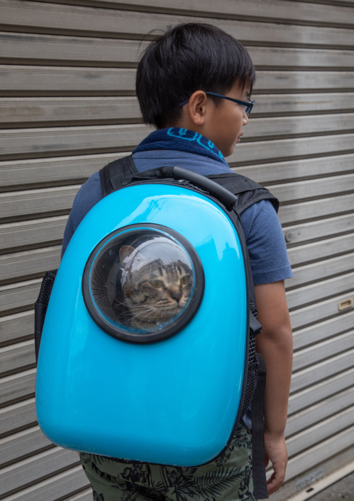 Japanese boy carrying his cat in a blue backpack, Kanto region, Tokyo, Japan