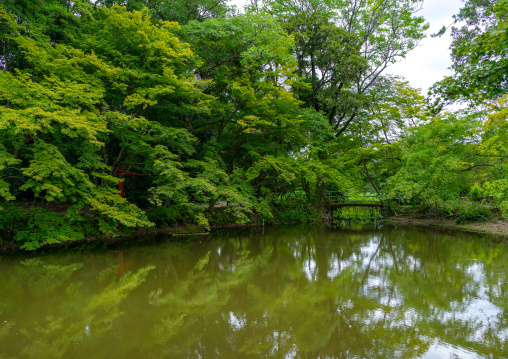 Pond in the botanic garden, Kansai region, Kyoto, Japan