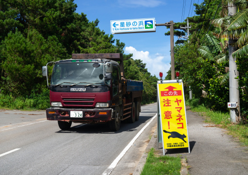 Road sign to protect iriomote cat, Yaeyama Islands, Iriomote, Japan