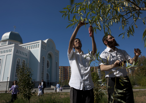Men Picking Up Fruit At The Blue Synagogue In Astana, Kazakhstan