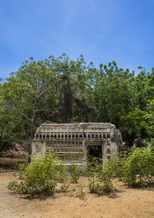 Ruins of a once-imposing c19th residence near the wa deule mosque, Lamu county, Shela, Kenya