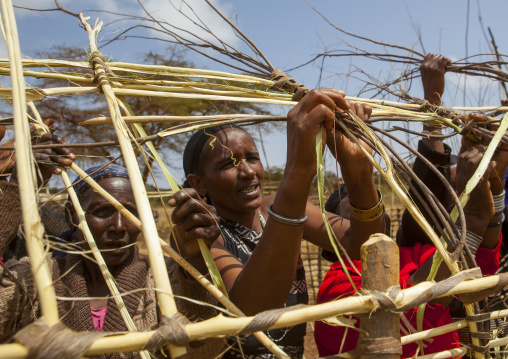 Borana women building a house with wood, Marsabit district, Marsabit, Kenya