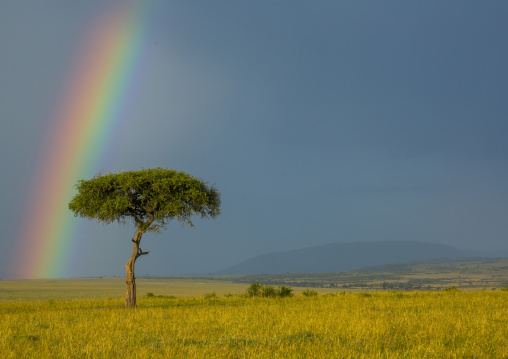 Rainbow after rainstorm, Rift valley province, Maasai mara, Kenya