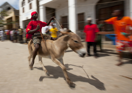 Donkey race during the Maulid festival, Lamu County, Lamu, Kenya