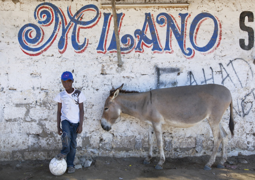 Young boy with a ball in front of a wall with a donkey, Lamu County, Lamu, Kenya