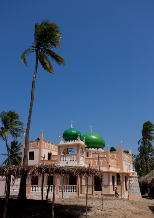 Mosque with palm trees, Lamu County, Pate Island, Kenya
