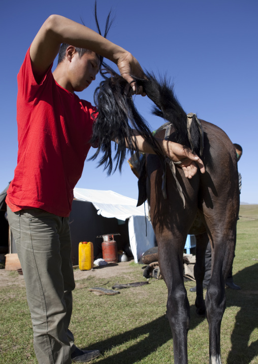 Man Braiding His Horse Tail, Jaman Echki Jailoo Village, Song Kol Lake Area, Kyrgyzstan